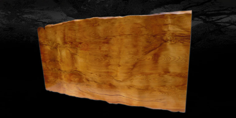 テーブルの画像